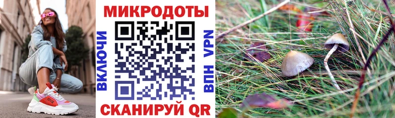 Псилоцибиновые грибы мухоморы Берёзовский